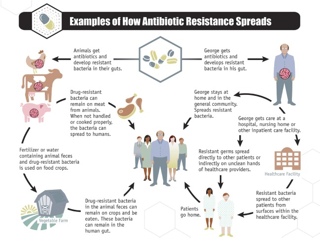 Antibiotics Abuse